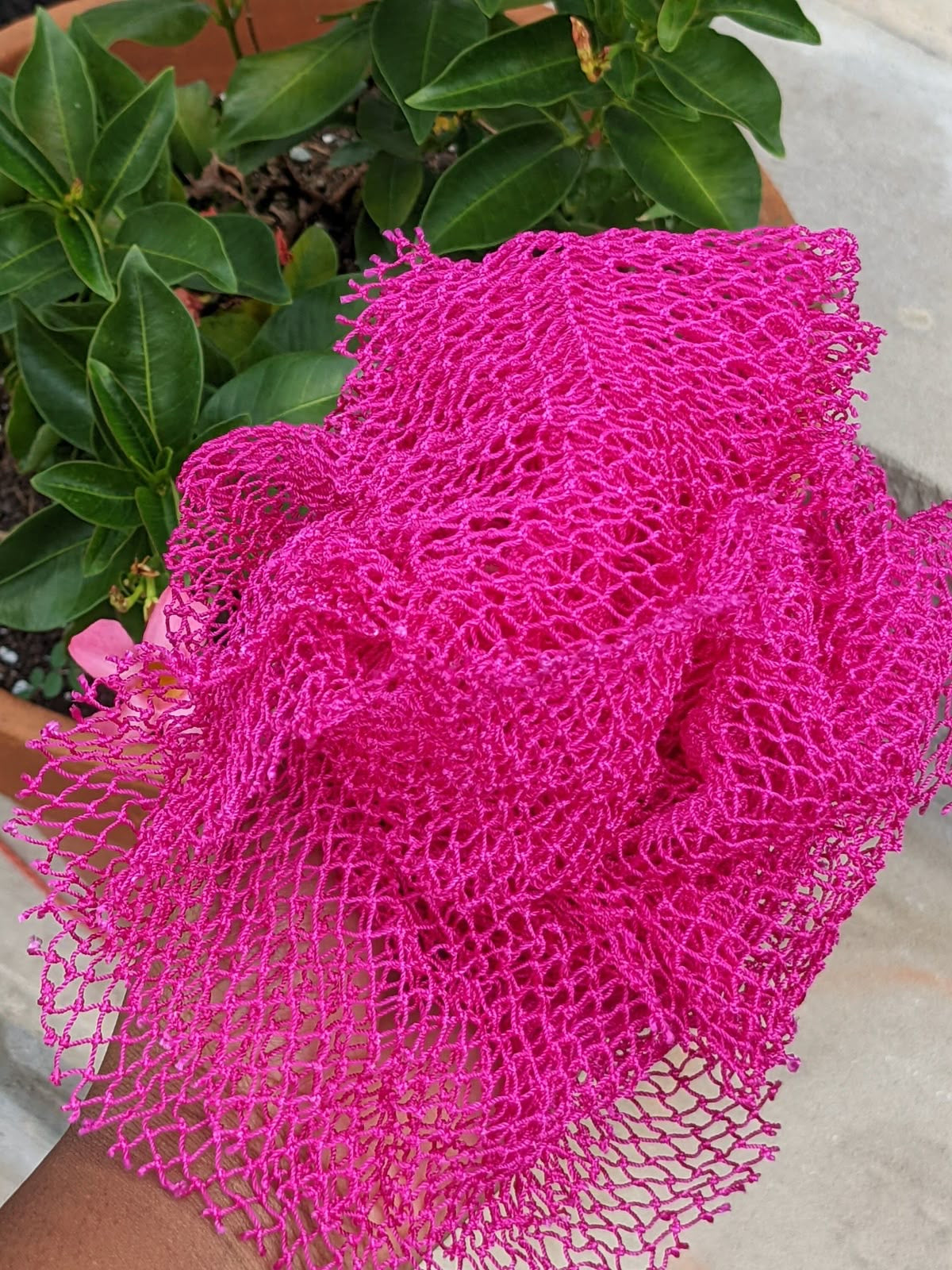 African Net Sponge (Pre-Order)