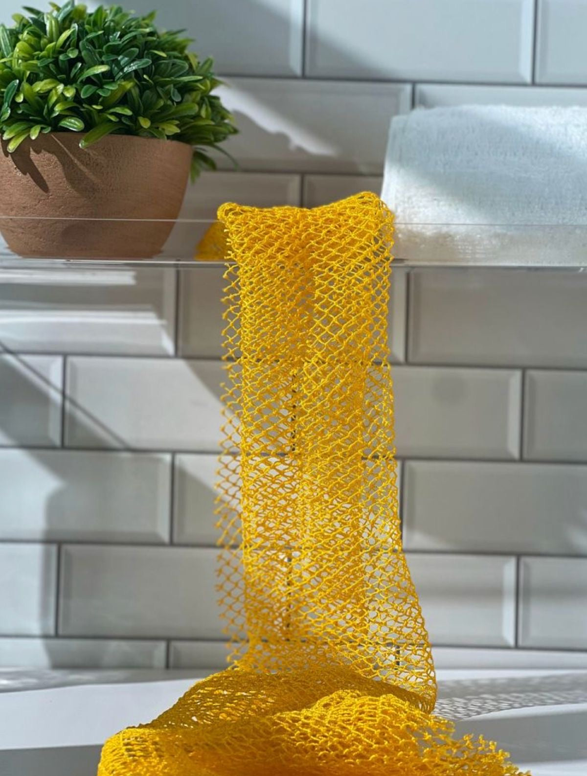 African Net Sponge (Pre-Order)