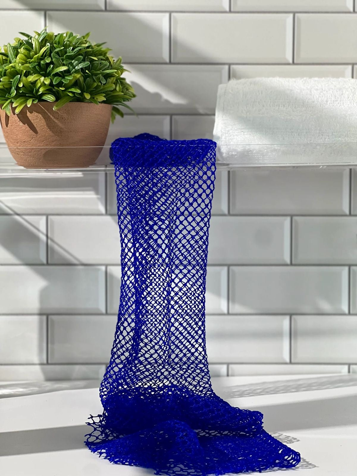 African Net Sponge (Pre-Order)