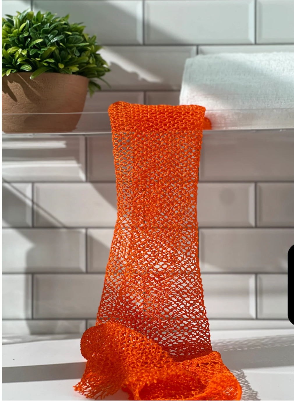 African Net Sponge (Pre-Order)