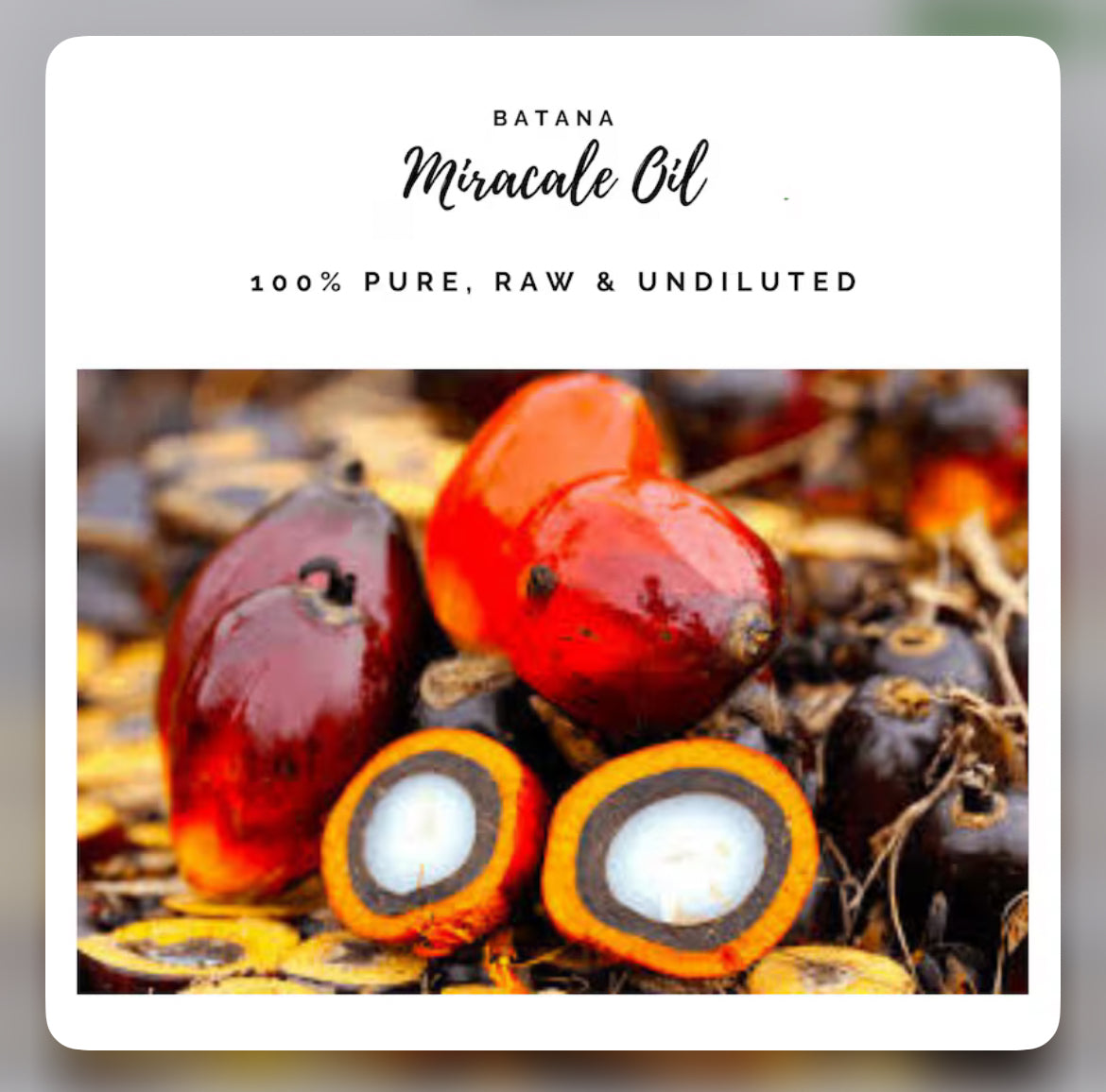 8 oz Batana Oil (Pre Order)